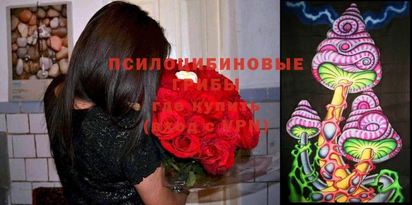 прущие грибы Арсеньев